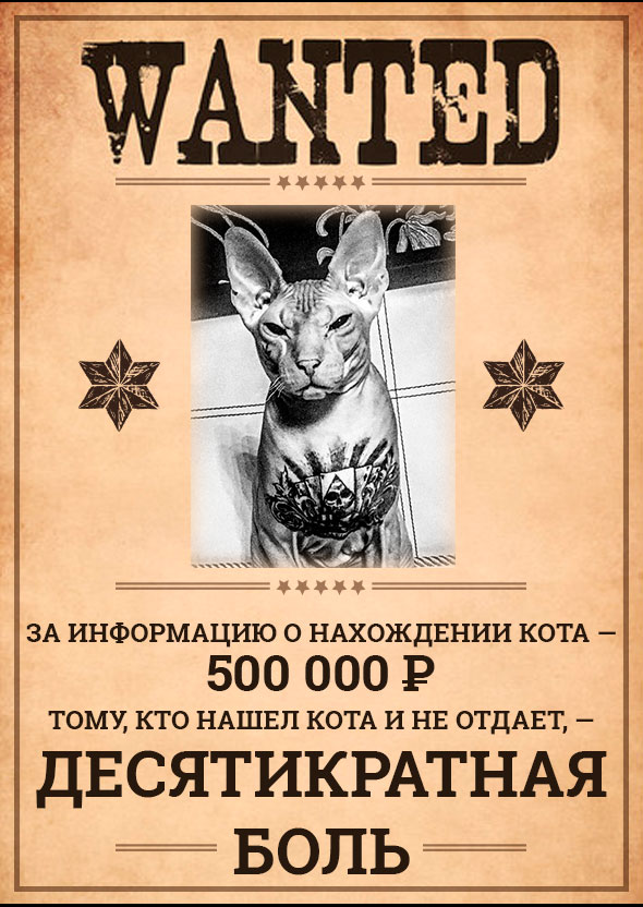 «С удовольствием причиню десятикратную боль!» Боец ММА угрожает тем, кто нашел кота с татуировками
