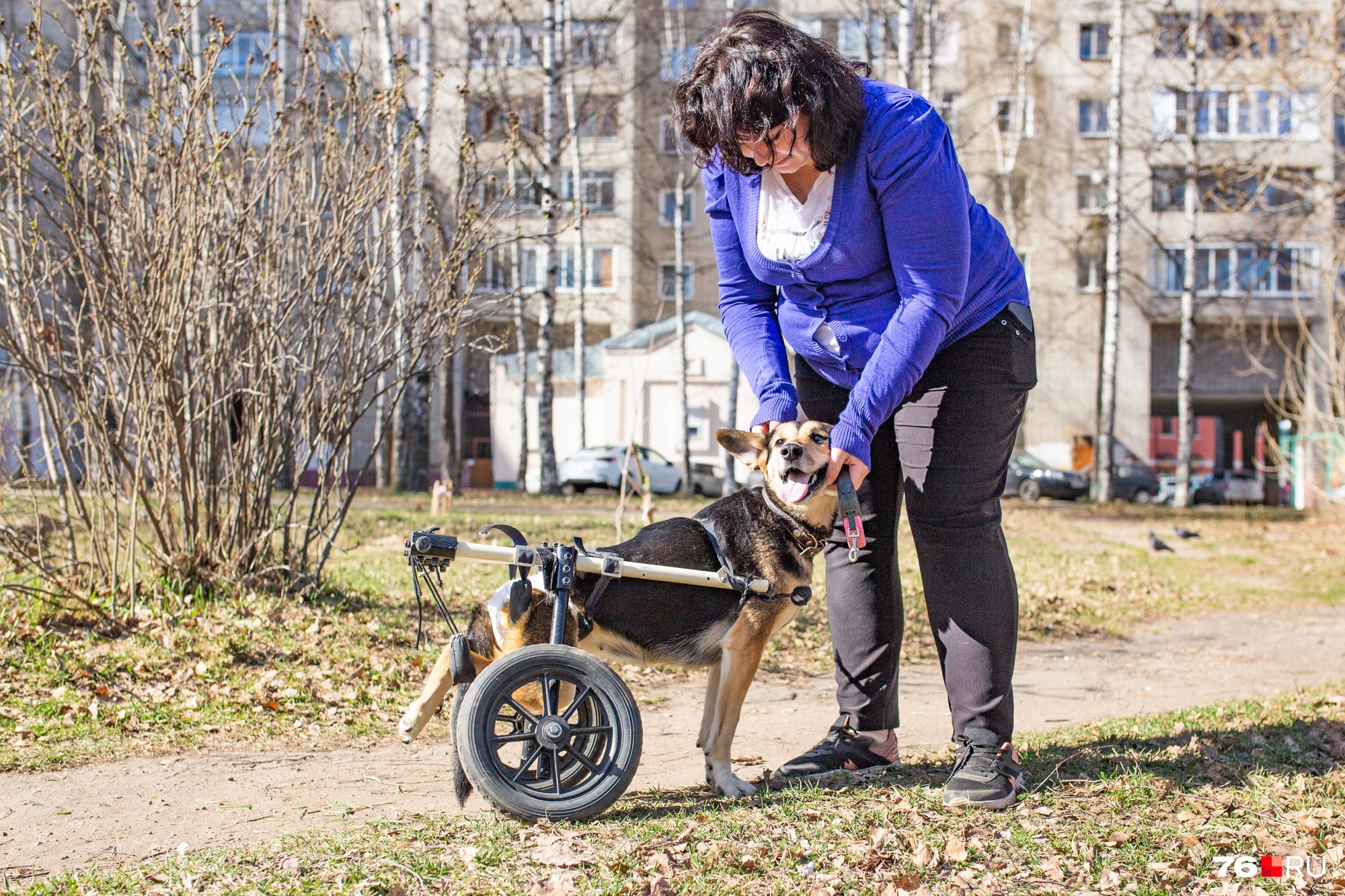 От Лапуси уже никто никогда не откажется От Лапуси уже никто никогда не откажется