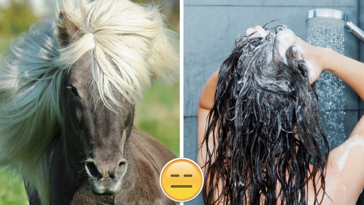 Хвост отваливается: 6 популярных средств для волос, которые не работают (а наоборот, вредят)