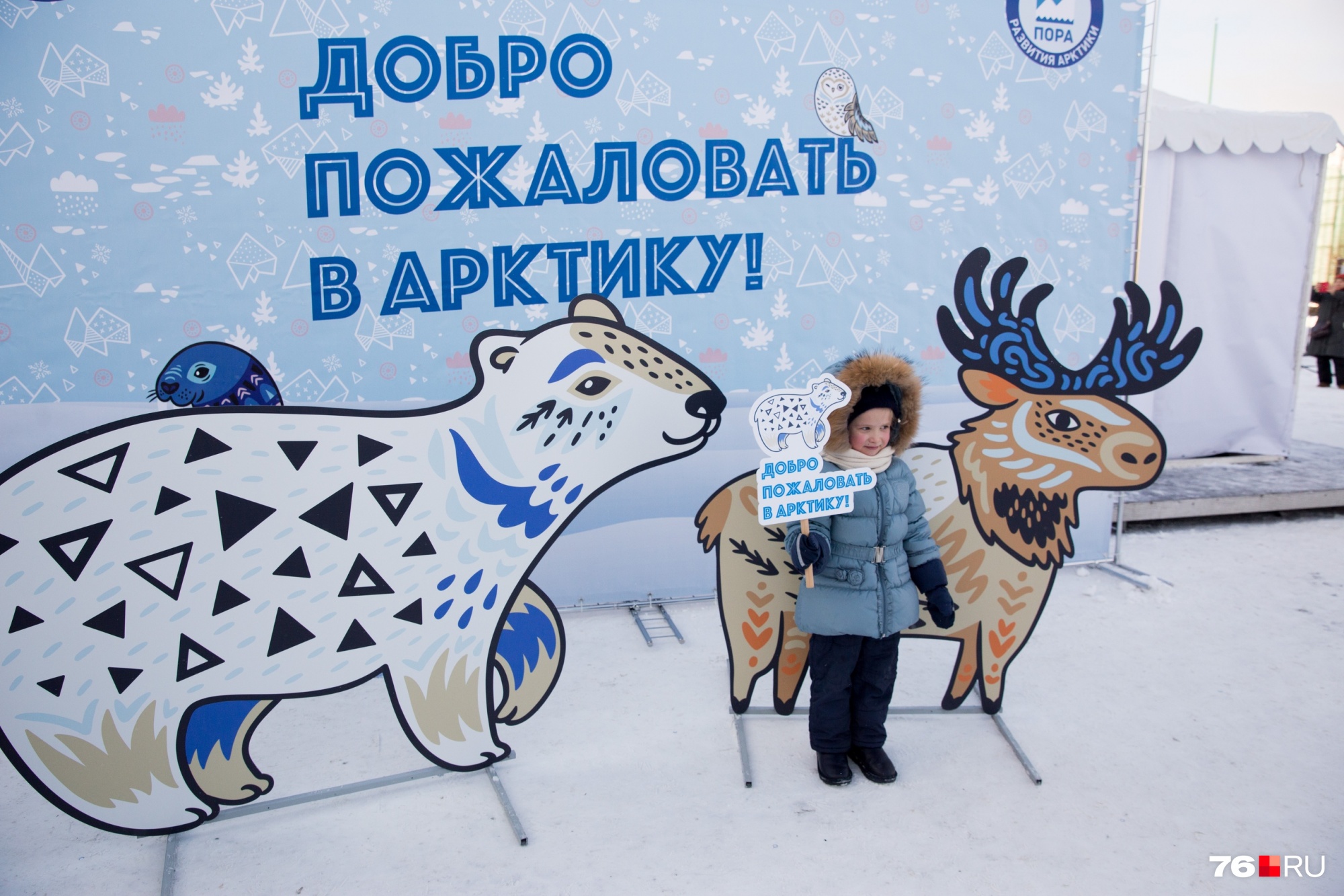 Настоящих оленей в Ярославле не согласовали организаторам фестиваля