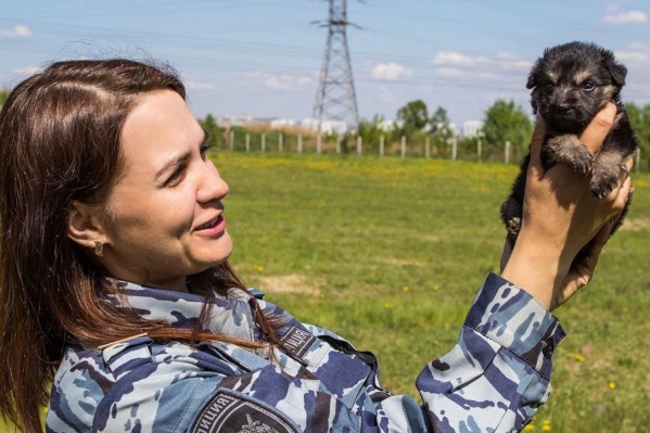 Татьяна Биндусова спасла щенят, когда гуляла со своей собакой Татьяна Биндусова спасла щенят, когда гуляла со своей собакой