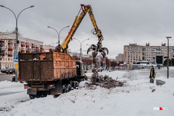 У театра вырубили все ели, раньше они украшали этот квартал У театра вырубили все ели, раньше они украшали этот квартал 