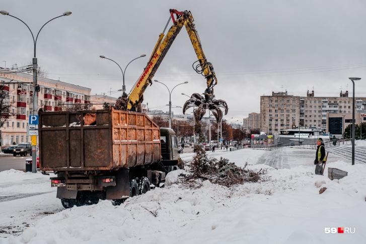 У театра вырубили все ели, раньше они украшали этот квартал У театра вырубили все ели, раньше они украшали этот квартал