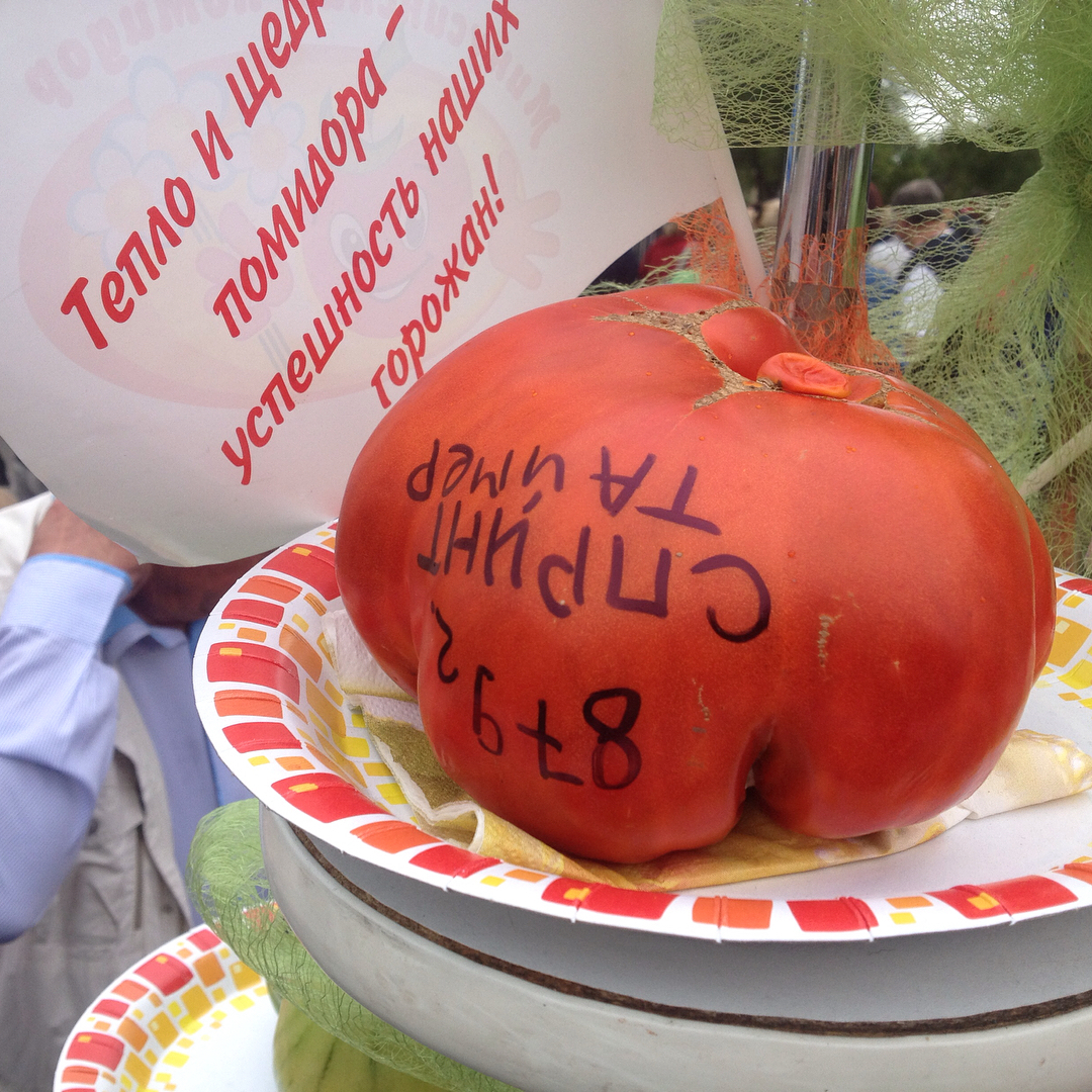 В этом году День помидора в Минусинске отмечали в 14-й раз