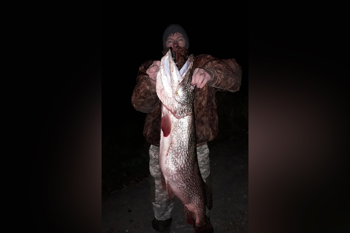 «Перепутал рыбу с бревном»: в Самарской области рыбак поймал щуку весом 11 кг
