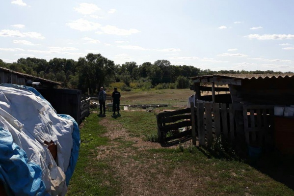 Волонтеры планируют прочесывать густой лес рядом с домом пропавшей девушки Волонтеры планируют прочесывать густой лес рядом с домом пропавшей девушки