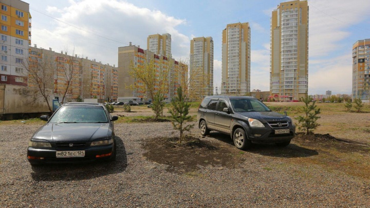 Водители нашли способ парковки в аллее сосен на Молокова после закрытия стоянки