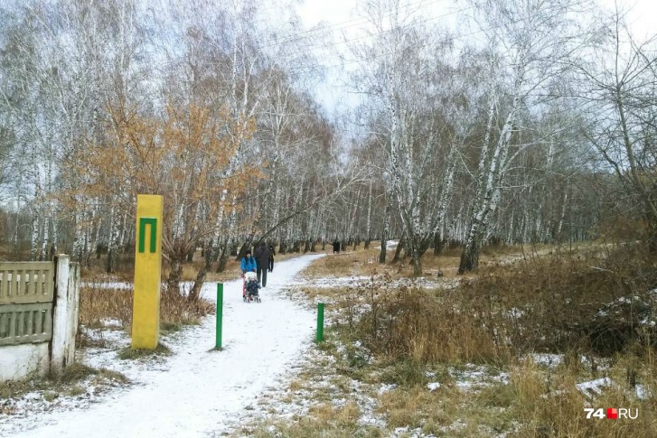 Так выглядит вход в парк в посёлке Октябрьский сейчас. Спустя время среди деревьев может появиться храм Так выглядит вход в парк в посёлке Октябрьский сейчас. Спустя время среди деревьев может появиться храм