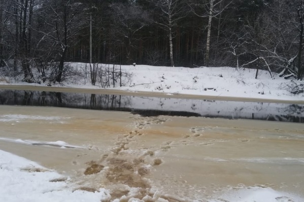 На некоторых водоёмах лёд даже не встал до конца На некоторых водоёмах лёд даже не встал до конца