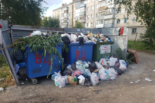 В Курганской области региональный оператор выбран на 10 лет В Курганской области региональный оператор выбран на 10 лет