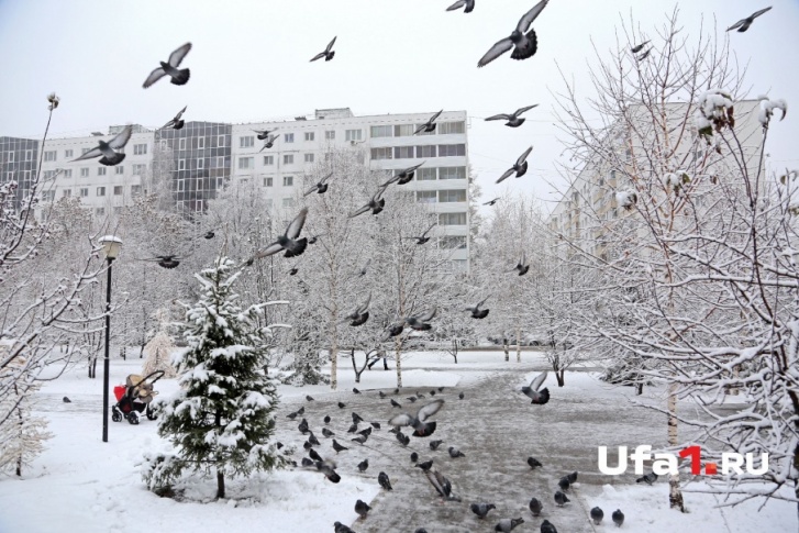 Небесная канцелярия решила побаловать жителей Башкирии тёплой зимней погодой