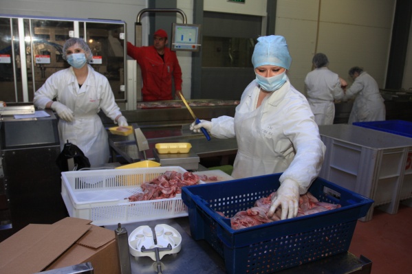 На покупку Кудряшовского мясокомбината нацелился крупный сибирский холдинг, в состав которого уже входит 10 производственных предприятий На покупку Кудряшовского мясокомбината нацелился крупный сибирский холдинг, в состав которого уже входит 10 производственных предприятий