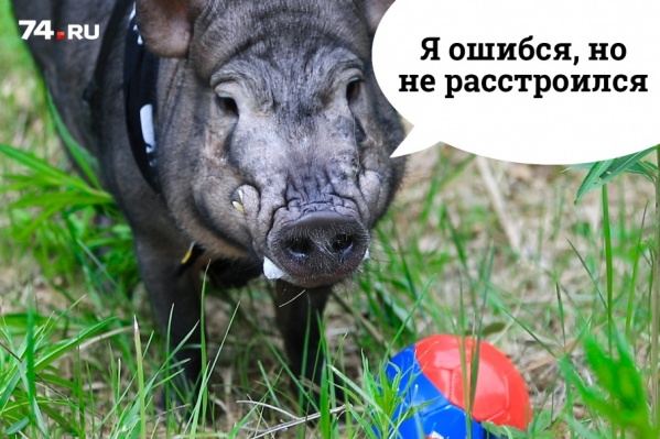 Борис готов признать ошибку с лёгким сердцем: россияне обеспечили себе участие в плей-офф Борис готов признать ошибку с лёгким сердцем: россияне обеспечили себе участие в плей-офф