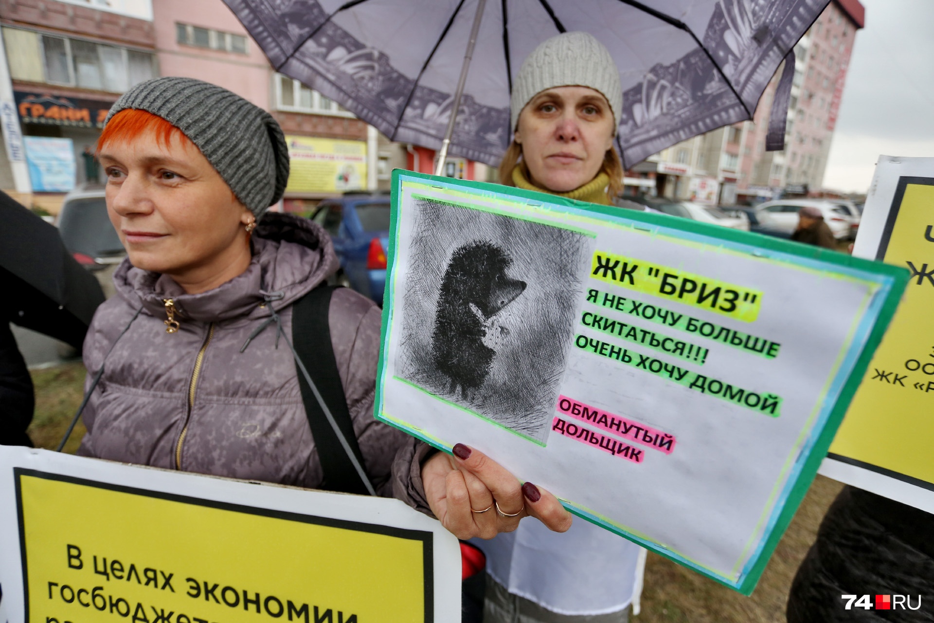 Дольщики сравнивают себя со скитающимся в тумане ёжиком Дольщики сравнивают себя со скитающимся в тумане ёжиком