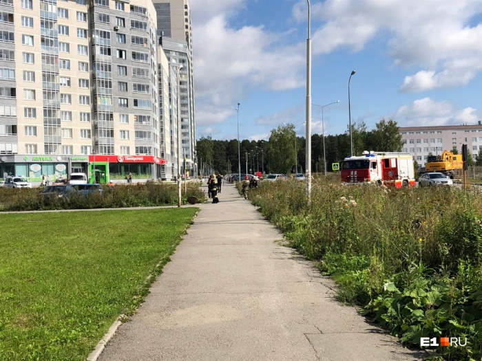 Первыми на место приехали пожарные Первыми на место приехали пожарные