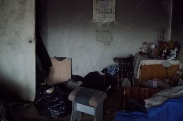 Жильцы превратили квартиру в Ярославле в помойку Жильцы превратили квартиру в Ярославле в помойку