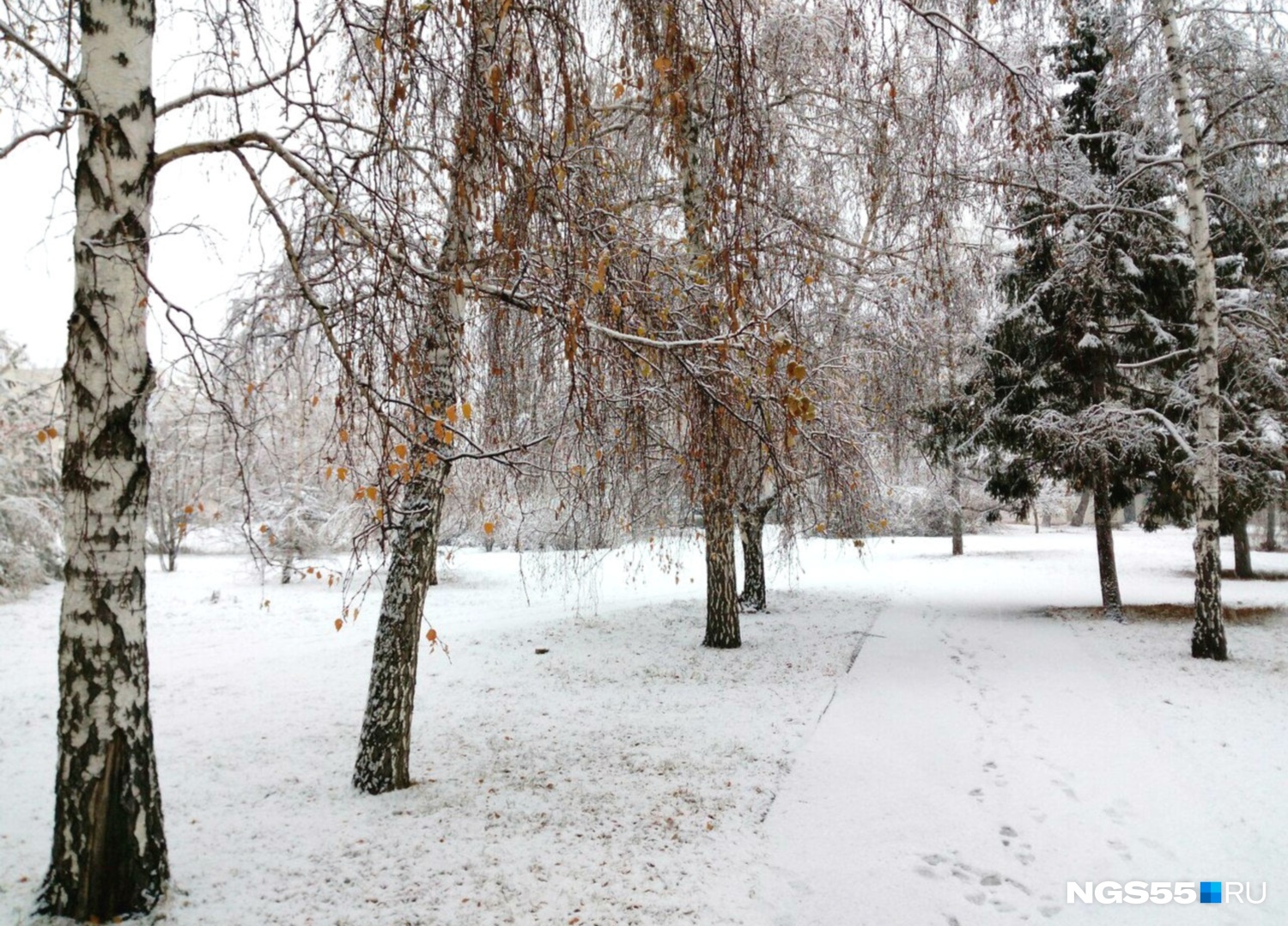 Омская область ноябре. Омск в ноябре. Омск в ноябре фото. Омск ноябрь снег. Серый Омск ноябрь.