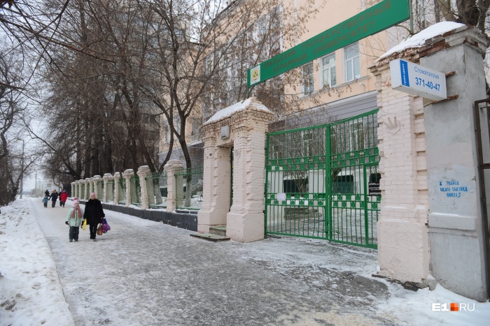 Деревья мешают стоять старинному забору, поэтому их предлагают вырубить Деревья мешают стоять старинному забору, поэтому их предлагают вырубить