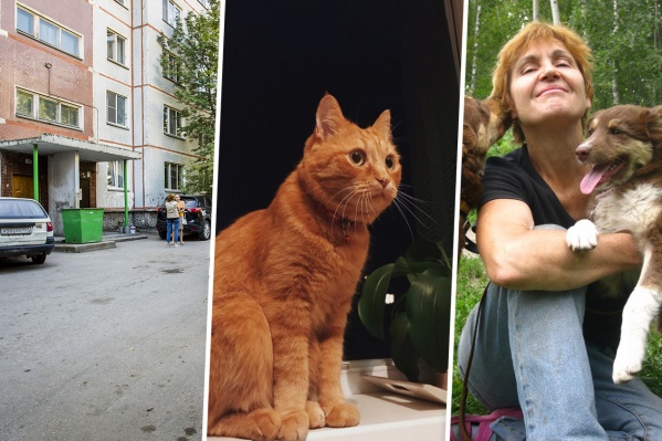 Галина Клебче (на фото справа) обратилась к полицейским, когда узнала, что к убийству рыжего кота Мартина может быть причастна бывшая волонтёр приюта Галина Клебче (на фото справа) обратилась к полицейским, когда узнала, что к убийству рыжего кота Мартина может быть причастна бывшая волонтёр приюта
