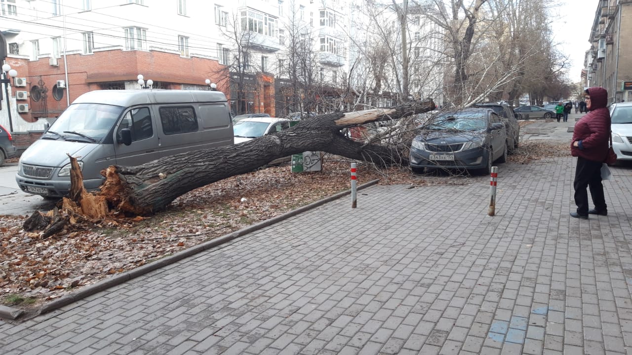 А в Железнодорожном районе города у кукольного театра на улице Ленина ветер повалил дерево А в Железнодорожном районе города у кукольного театра на улице Ленина ветер повалил дерево