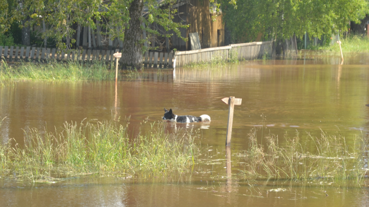 В Юрле эвакуировали жителей, Кудымкар ждёт большую воду. Хроника разрушений второго дня паводка