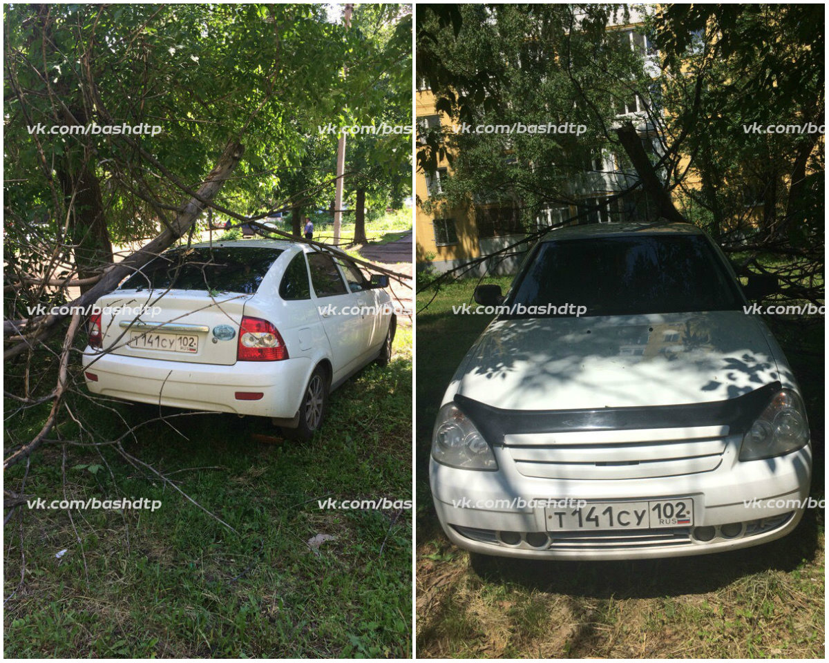 Автомобиль накрыло тяжелыми ветками Автомобиль накрыло тяжелыми ветками