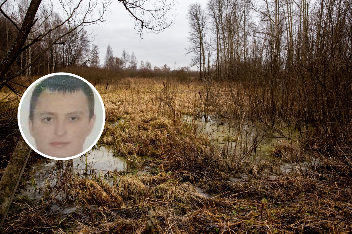 «Зашёл в лес и не вернулся»: в Ярославле ищут пропавшего мужчину из Иваново