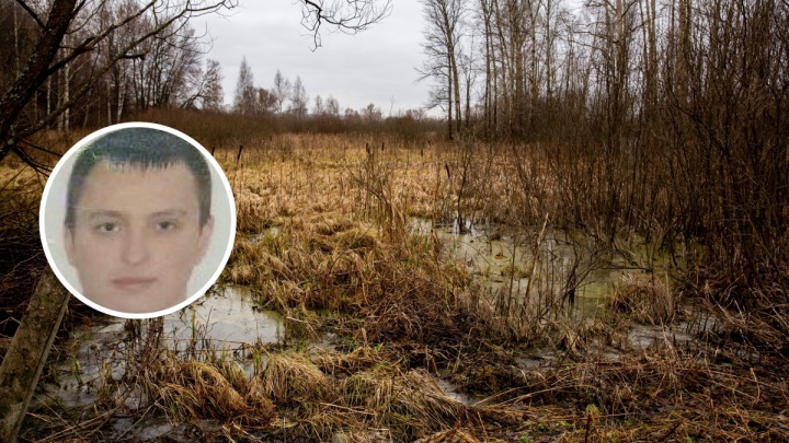 «Зашёл в лес и не вернулся»: в Ярославле ищут пропавшего мужчину из Иваново