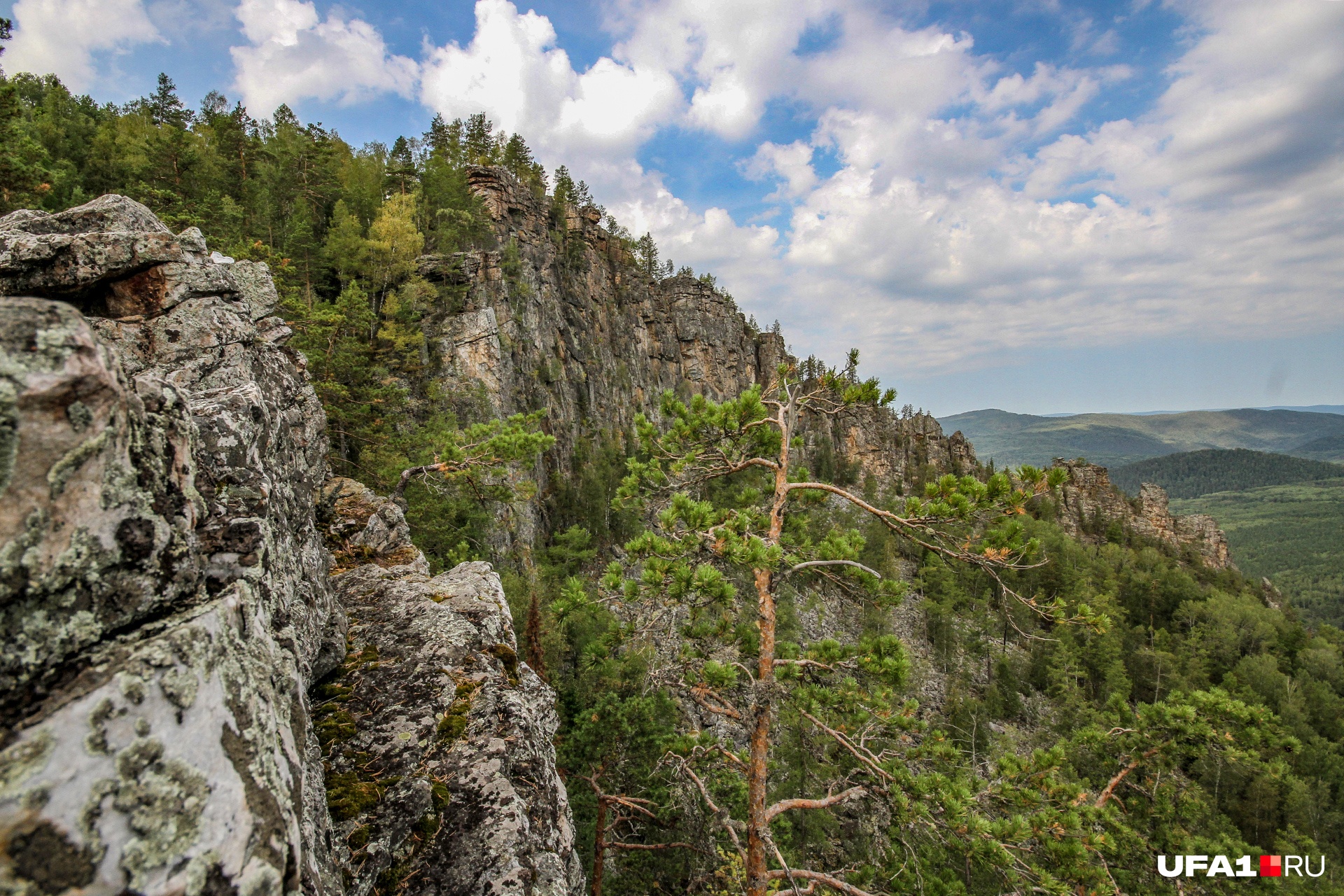 Зубы шурале фото айгир