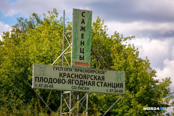 У компании в собственности 140 га, но проектировать они хотели большую площадь — 700 га У компании в собственности 140 га, но проектировать они хотели большую площадь — 700 га