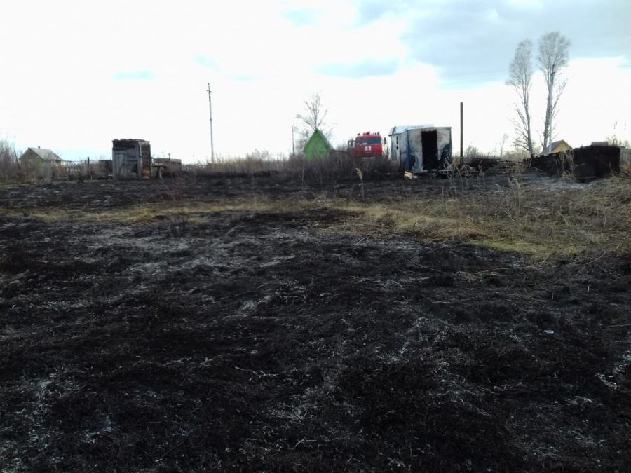Дачник поджёг траву и попал в поликлинику с отравлением угарным газом Дачник поджёг траву и попал в поликлинику с отравлением угарным газом