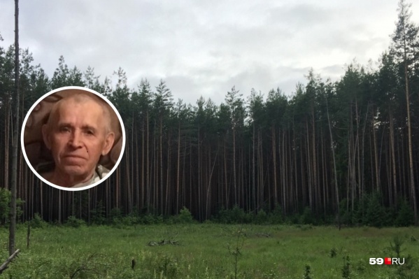 Пенсионер ушел в лес и заблудился Пенсионер ушел в лес и заблудился 