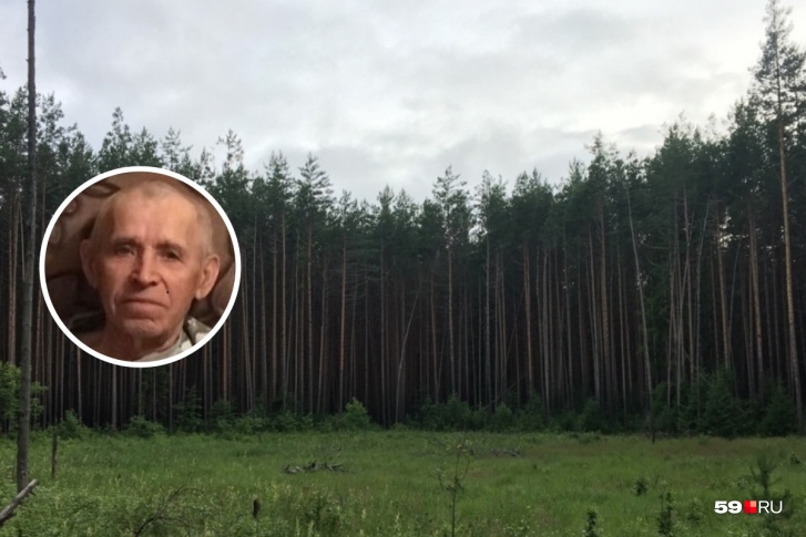 Пенсионер ушел в лес и заблудился Пенсионер ушел в лес и заблудился