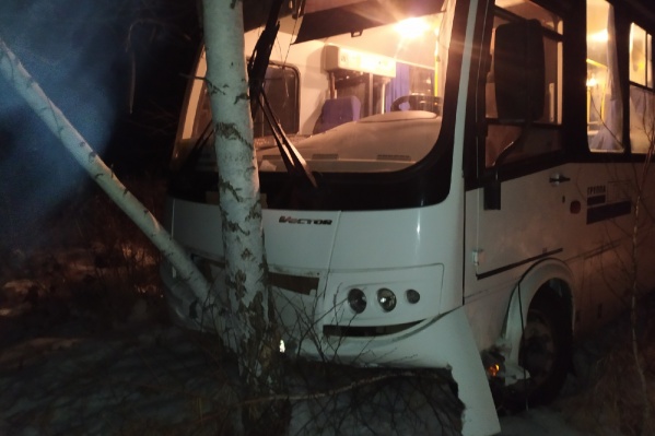 Пассажирский автобус съехал с дороги и врезался в березу. Пострадали водитель и пятеро пассажиров Пассажирский автобус съехал с дороги и врезался в березу. Пострадали водитель и пятеро пассажиров