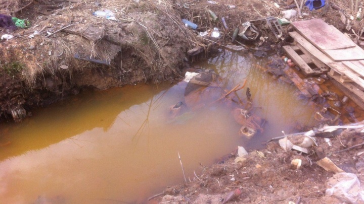 «Даём месяц, чтобы убраться»: чиновников обязали расчистить огромную свалку у реки