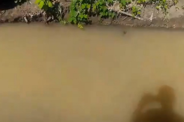 Вода в Орловке меняет цвет почти каждый день Вода в Орловке меняет цвет почти каждый день