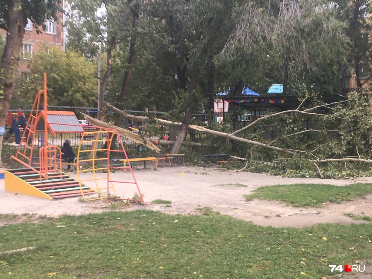 В детском саду в Металлургическом районе упало дерево В детском саду в Металлургическом районе упало дерево