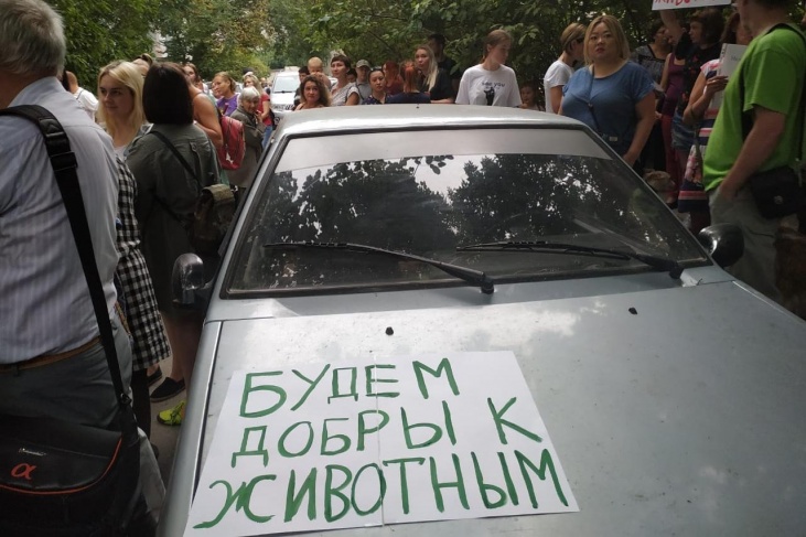 На пикет в отдалённый микрорайон Новосибирска некоторые приехали на машинах