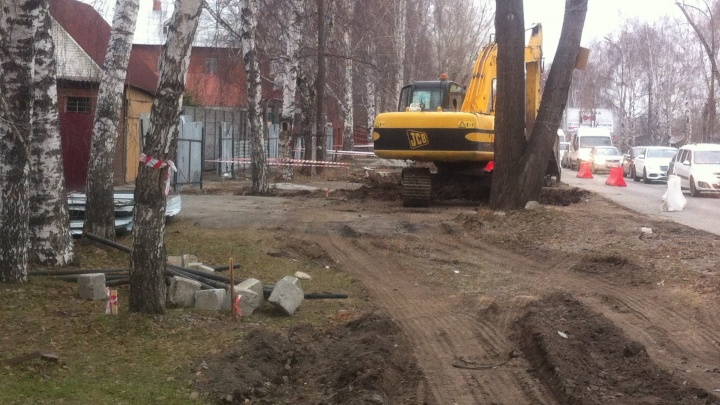 "Вырубают многолетние деревья": улицу Шаумяна перед Щорса начали делать четырёхполосной