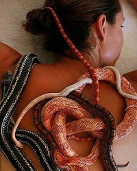 В Уфе можно попробовать массаж змеями и улиткотерапию