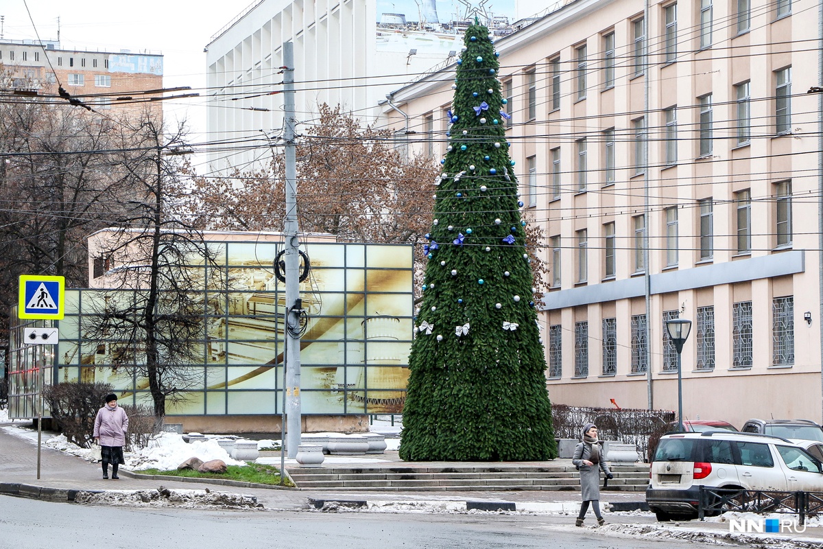 Новогодние елки заполонили Нижний Новгород