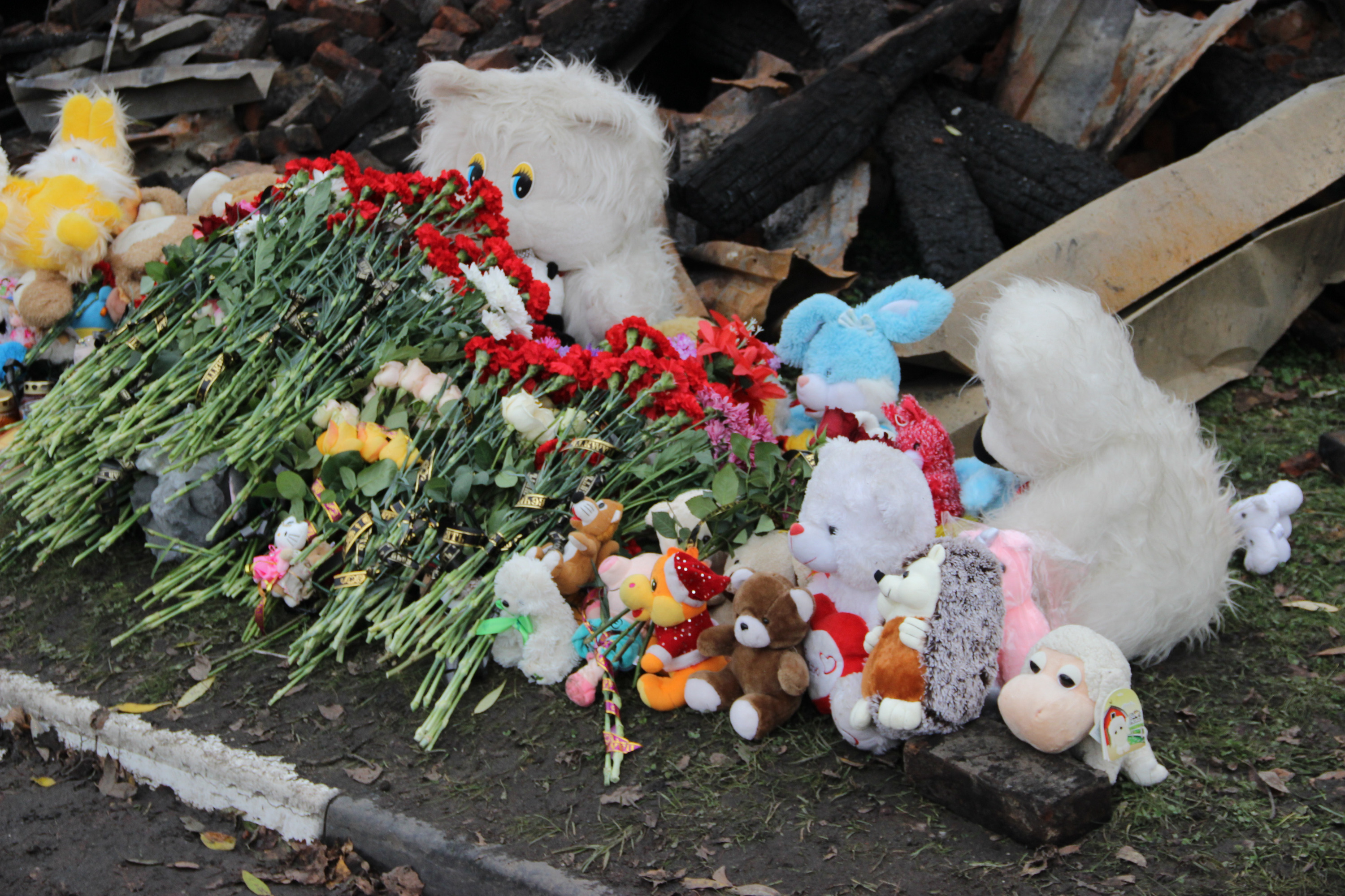 В Ярославской области объявлен день траура по погибшим в пожаре в Ростове