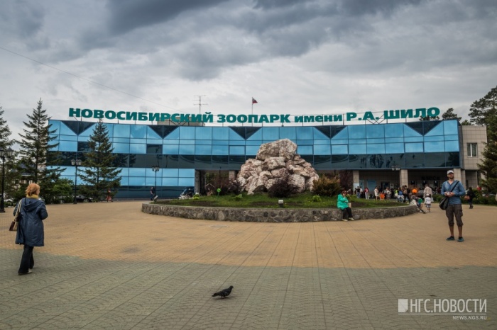 Зоопарк возьмёт 30 млн рублей под 10% годовых Зоопарк возьмёт 30 млн рублей под 10% годовых
