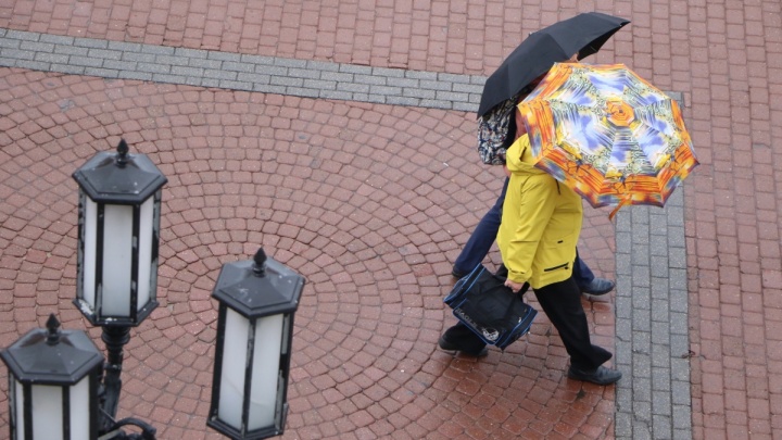 Прогноз погоды: в Нижний Новгород придёт ноябрьская оттепель, но с сильными дождями