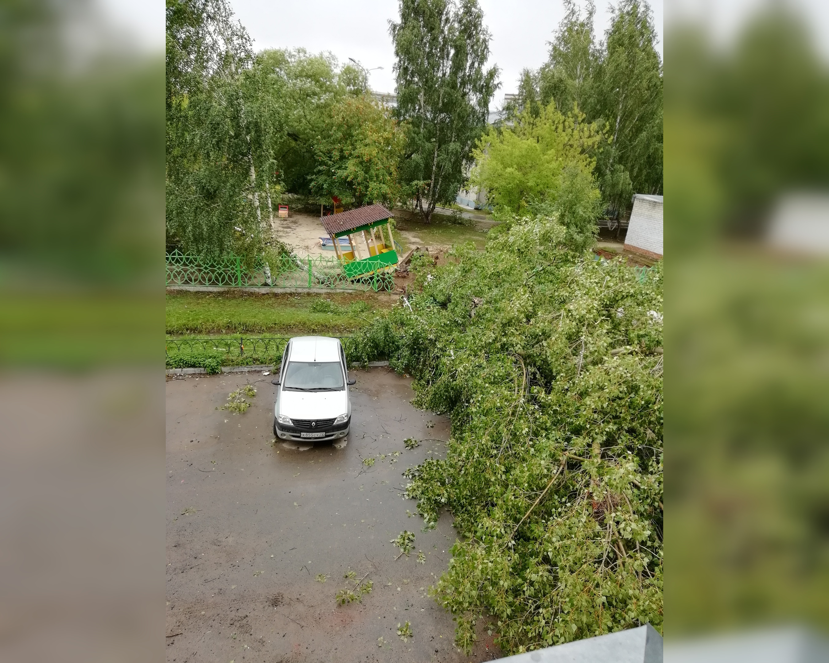 На Ставропольской десять дней не убирают упавшее во время урагана дерево