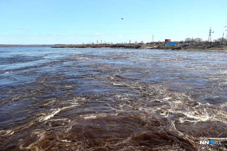 Больше всех при поднятии уровня водохранилища пострадает Нижегородская область. Под водой скроются огромные территории Больше всех при поднятии уровня водохранилища пострадает Нижегородская область. Под водой скроются огромные территории