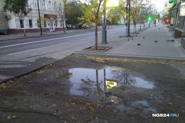 Тротуары и дворовые проезды на проспекте Мира Тротуары и дворовые проезды на проспекте Мира