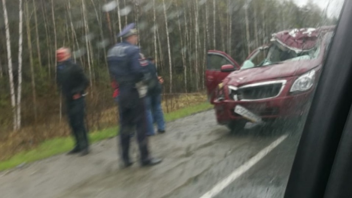 У машины снесло полкрыши: в ДТП с лосем на трассе Екатеринбург — Серов пострадали два человека