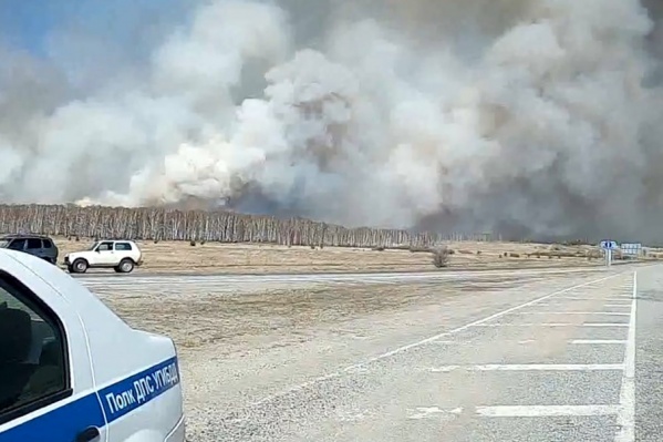 Огонь угрожает реликтовому лесу в Пластовском районе Огонь угрожает реликтовому лесу в Пластовском районе