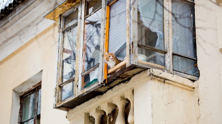 Кот и вечный Новый год: 15 необычных балконов, которые хозяева приспособили как могли